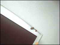 筆記本摔后黑屏挽救實錄!(多圖)